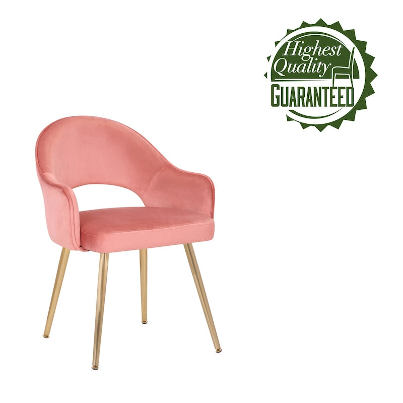 Chaise de salle à manger en velours avec pieds en métal doré et dossier ajouré, Aqua Gris Rose